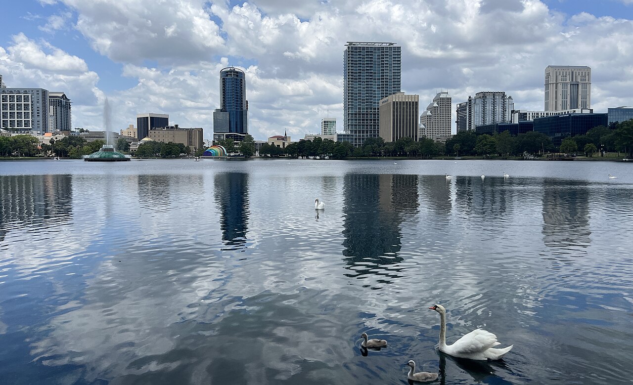 Swans on Lake Eola with downtown Orlando across the water